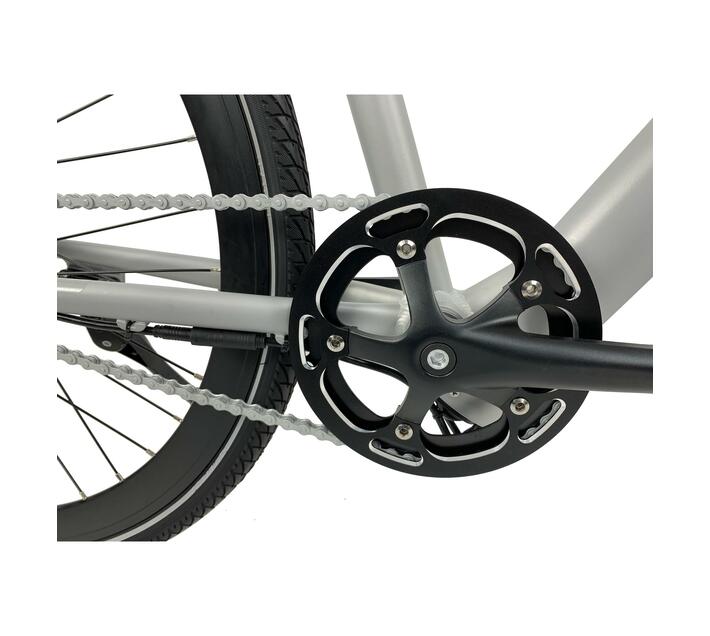 CITI Traveler EBIKE (Electric bike) Makro