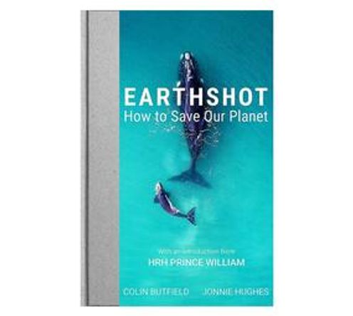 Earthshot : How to Save Our Planet (Hardback)