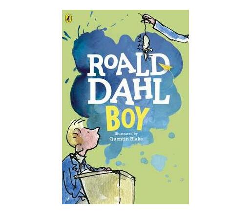 Boy : Tales of Childhood (Paperback / softback)