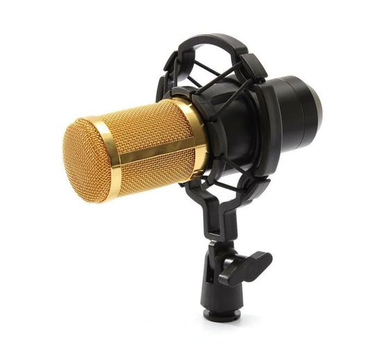 M800 Music microphone gold