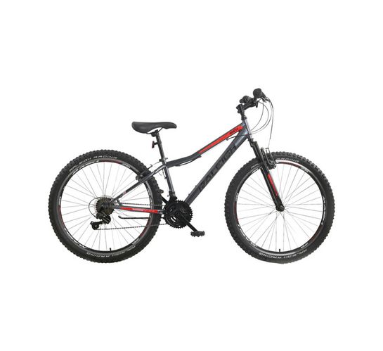 raleigh 26in mirage 21 speed mtb