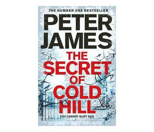 The Secret of Cold Hill (Paperback / softback)