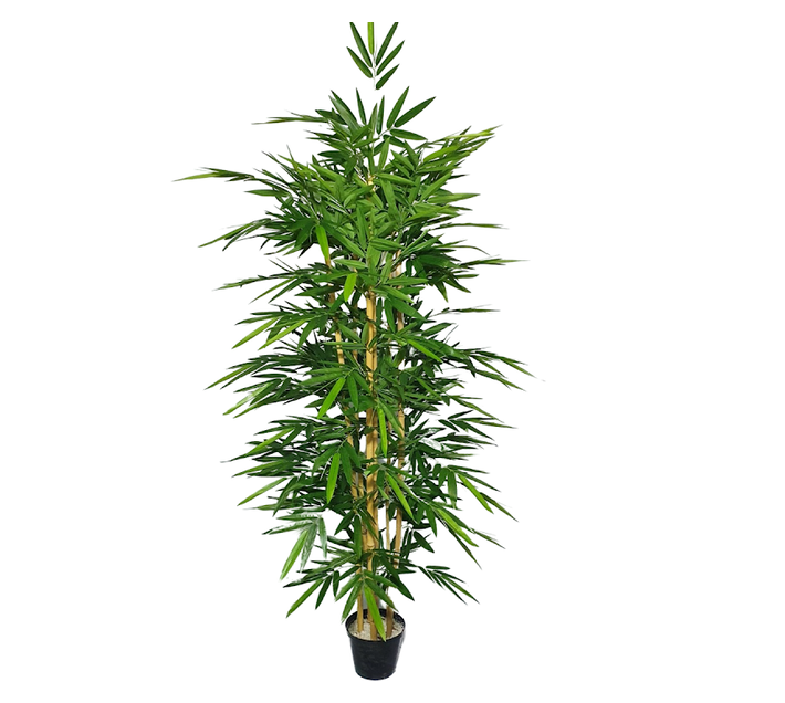 Artificial Bamboo tree5ft Makro