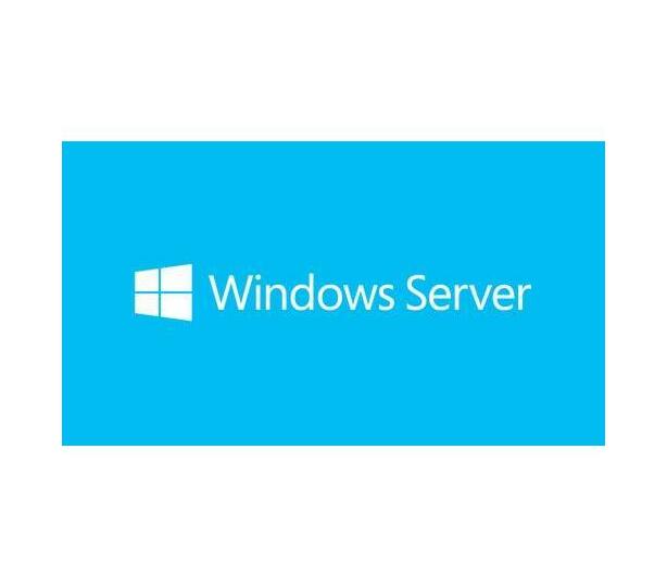 Microsoft Windows Server 2019 Client Access License (CAL)