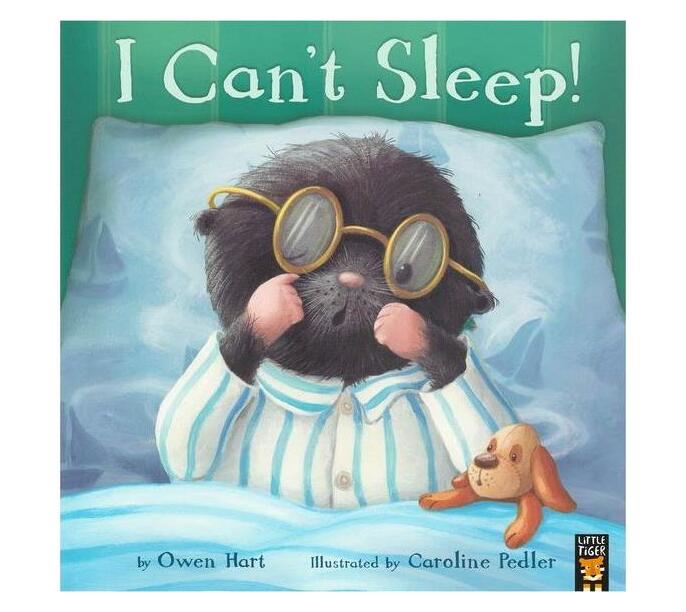 I Can't Sleep! (Paperback / softback)