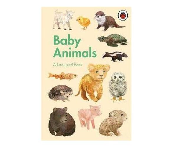 A Ladybird Book: Baby Animals (Hardback)