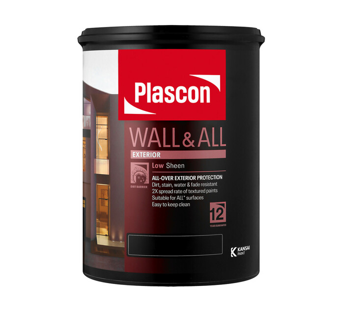 Plascon 5 l Wall & All 