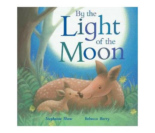 By the Light of the Moon (Board book)
