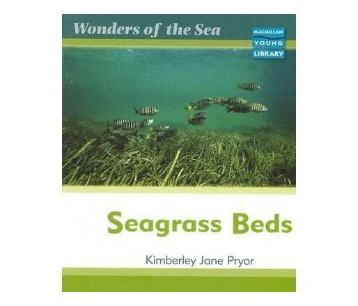 Wonders of the Sea Seagrass Beds Macmillan Library (Paperback / softback)