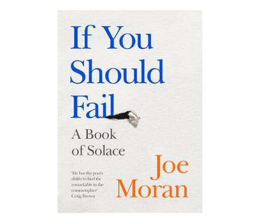 If You Should Fail : A Book of Solace (Hardback)