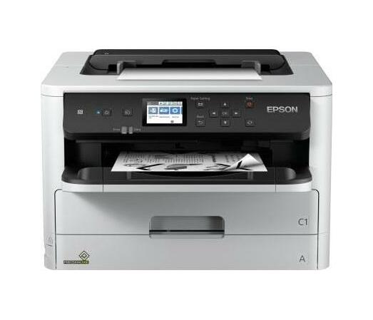 epson workforce 250