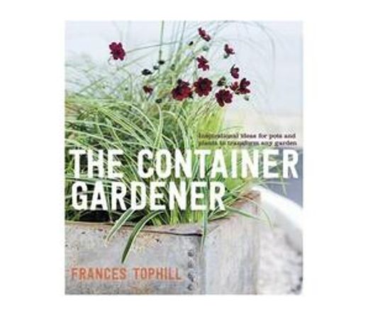 The container gardener : Inspirational ideas for pots and plants to transform any garden (Paperback / softback)